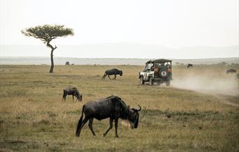 Driving Holidays in Africa