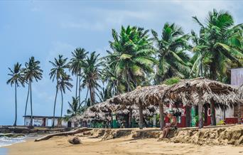 Sheltering from the sun on a tropical beach