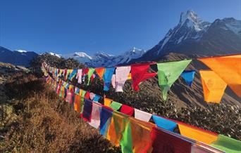 Prayer flags in the Himalayas