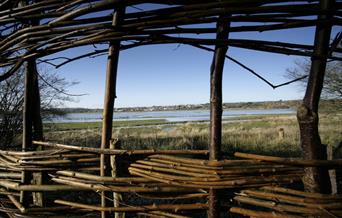 Peeking at pulborough brooks