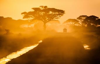 Self-drive holidays are popular in Africa