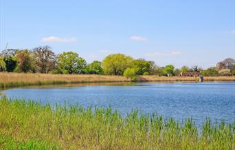 Feasibility Study and Master Plan for Woodberry Wetlands, London