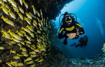 Reef diving with tropical fish