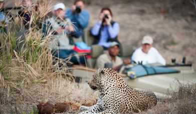 Safari Holidays in Africa