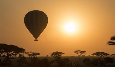 Tourism Market Research Study