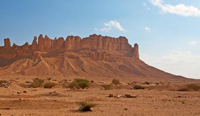 Feasibility Study of a Desert Resort in Saudi Arabia