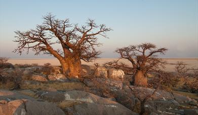 National Tourism Strategy and Tourism Development Master Plan for Botswana 2022-2032