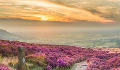 North York Moors National Park