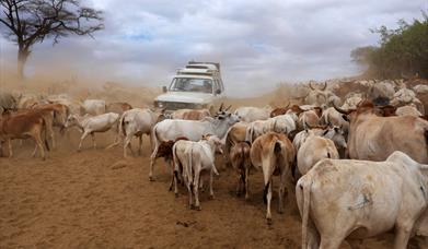 The Omo Valley, Ethiopia