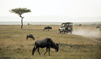 Driving Holidays in Africa