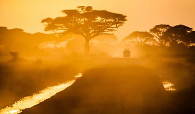 Self-drive holidays are popular in Africa