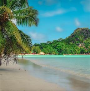 Seychelles Praslin Beach
