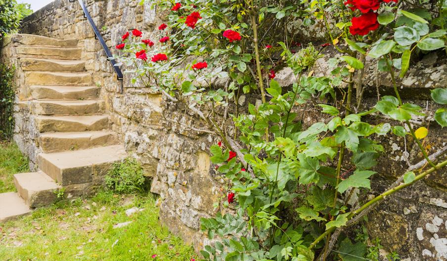 Audience Development Plan for St. Leonards Gardens in East Sussex