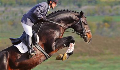 Horse Racing and Equestrian Tourism in Scotland