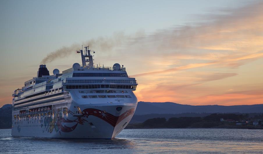 Role of Cruise Tourism in the Falklands Economy