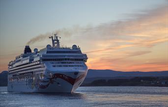 Role of Cruise Tourism in the Falklands Economy