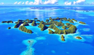 Visitor Survey for Palau