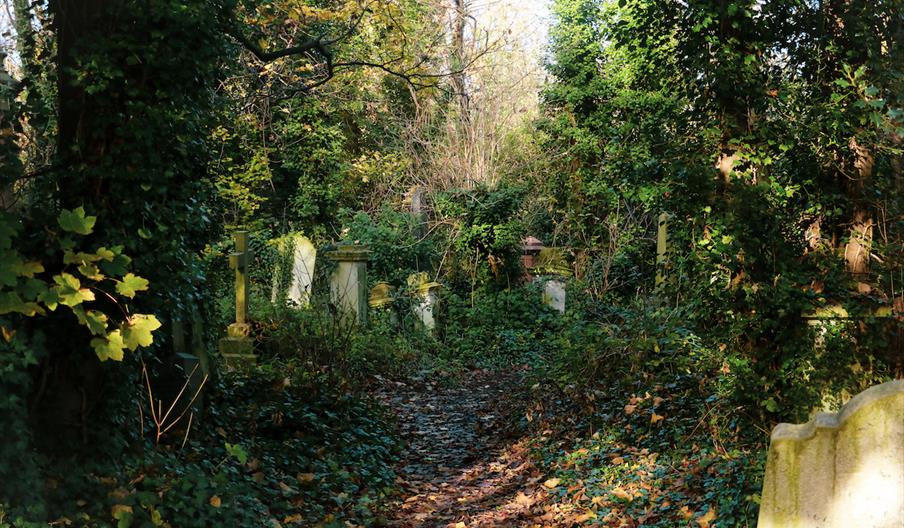 Abney Park Cemetery in Hackney is one of London’s Magnificent Seven Cemeteries. It needed a Conservation Management and Business Plan to ensure a sust