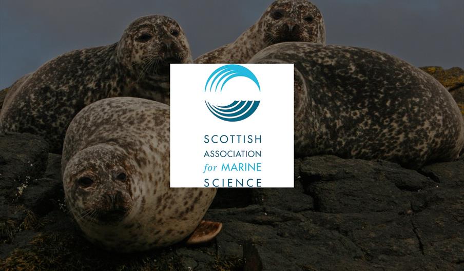 Scottish Association of Marine Science