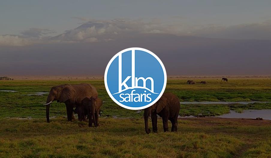 KLM Safaris