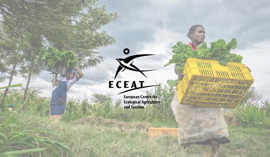 ECEAT - Kenya