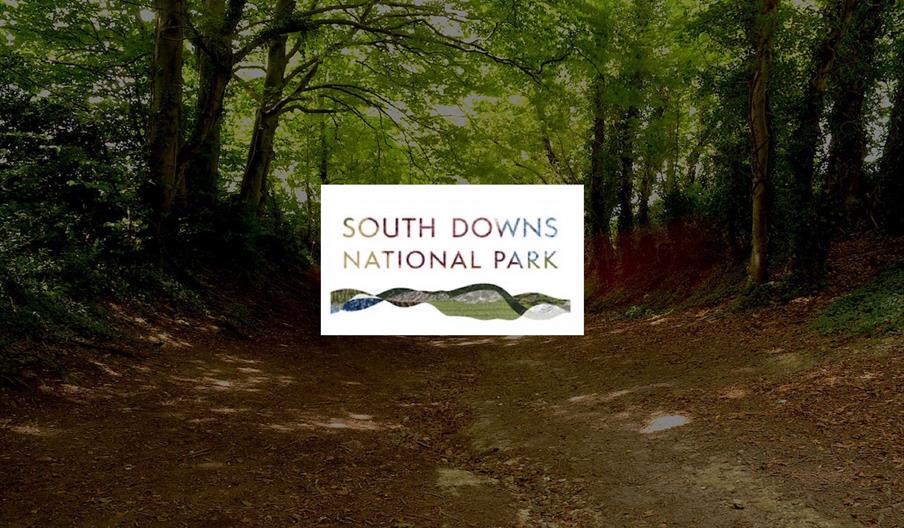 South Downs National Park Authority (SDNPA)