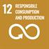 SDG12 - Ensure sustainable consumption and production patterns