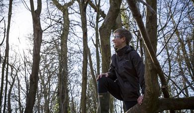 Tremendous Trees - and how to grow them