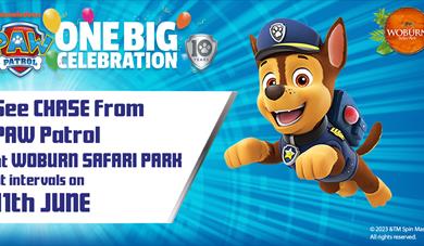 Meet Chase from PAW Patrol at Woburn Safari Park!