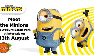 Meet the Minions at Woburn Safari Park on Sunday 13th August!