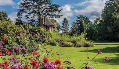 Summer Walk & Lunch with the Head Gardener