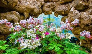 'Bring a Picnic' Bank Holiday Garden Tours