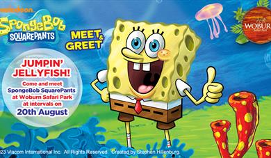 Meet SpongeBob SquarePants at Woburn Safari Park on Sunday 20th August