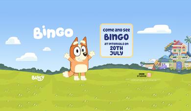Meet Bingo at Woburn Safari Park