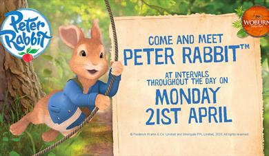 Meet Peter Rabbit™ at Woburn Safari Park