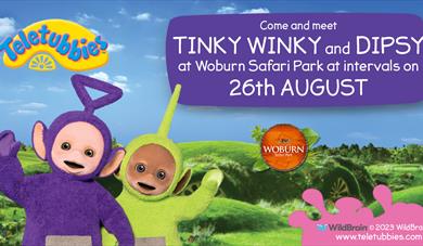 Meet Tinky Winky and Dipsy at Woburn Safari Park on Saturday 26th August!