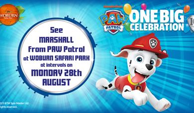 Meet Marshall from PAW Patrol at Woburn Safari Park on Bank Holiday Monday!