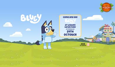 Come and meet Bluey on the 29th October!