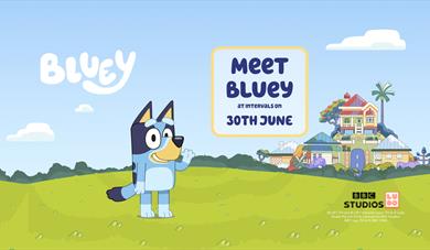 Meet Bluey at Woburn Safari Park on Sunday 30th June!
