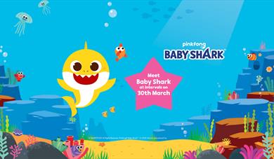 Meet Baby Shark on 30th March!