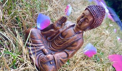 Yoga & Meditation Practice