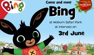 Meet Bing at Woburn Safari Park!