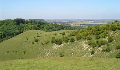 Barton Hills