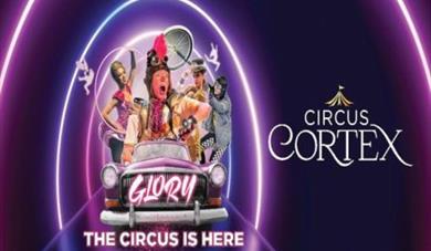 circus cortex