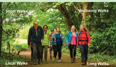 Bedfordshire Festival of Autumn Walk