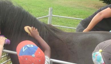 Animal Edge Open Day