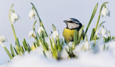 Stockwood Discovery Centre