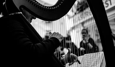 Music in the Museum: Classical (June)