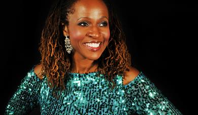 Diana Ross Tribute Night