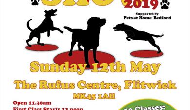 Fun Dog Show